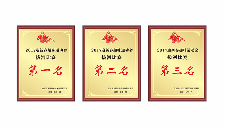 2017迎新春趣味运动会拔河比赛奖牌