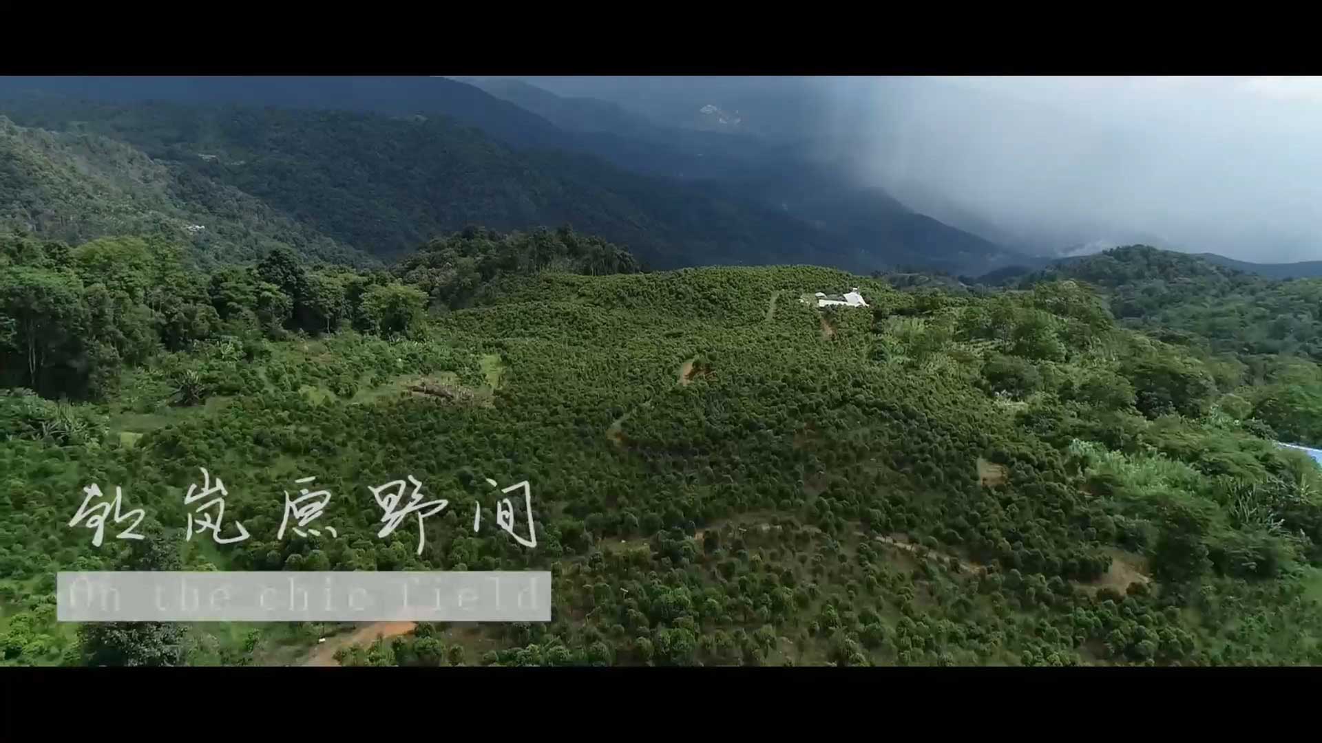 2018年西双版纳首届古六大茶山山地自行车挑战赛宣传片-野峰窝