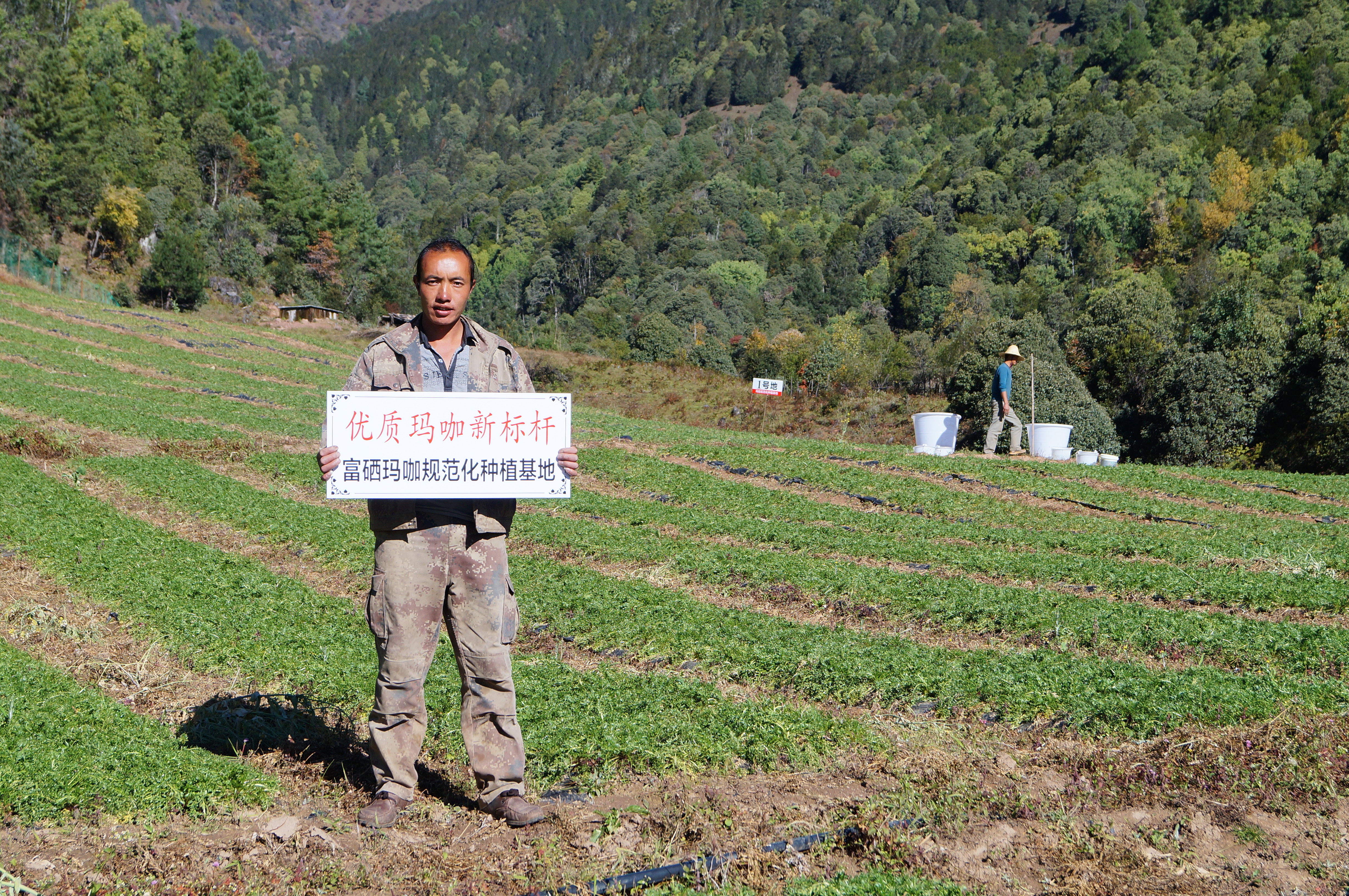 丽江溪谷农业开发有限公司玛咖种植基地21 Is33XU