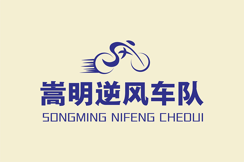 云南嵩明逆风车队LOGO