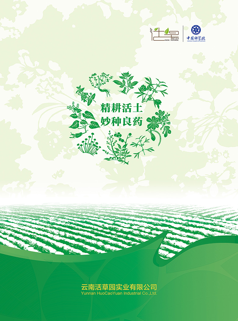 云南活草园实业有限公司宣传册封面