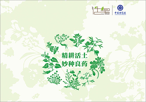 云南活草园实业有限公司宣传册-野峰窝