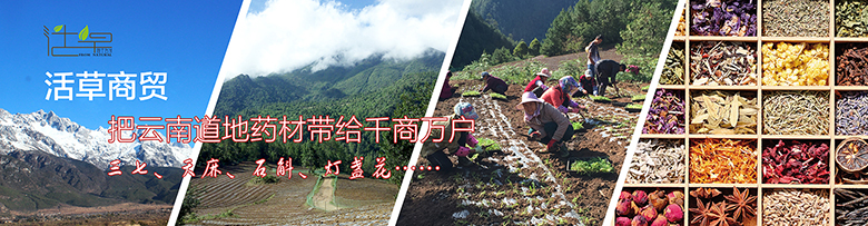 云南活草园实业有限公司网站设计图