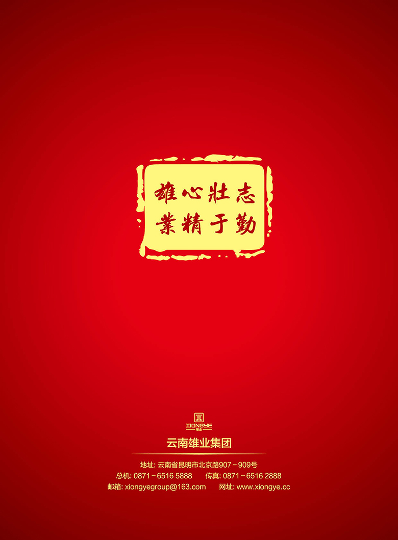 云南雄业集团《雄业雄起2013》封面