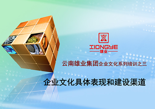 云南雄业集团企业文化具体表现和建设渠道-野峰窝