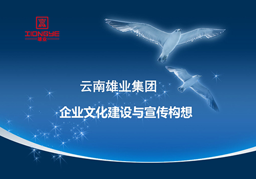 云南雄业集团企业文化建设与宣传构想-野峰窝