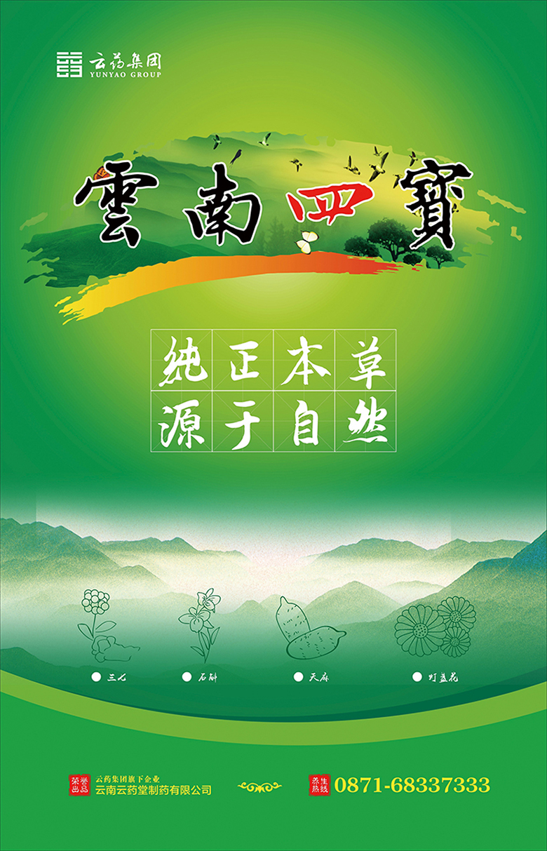 云药医药产业集团股份有限公司“云药四宝”海报