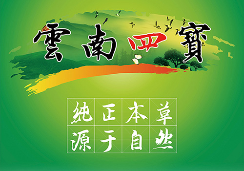 云药医药产业集团股份有限公司“云药四宝”海报-野峰窝
