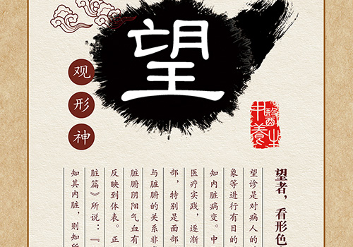 云药集团企业文化展板—望闻问切-野峰窝