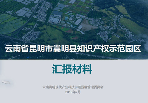 嵩明县知识产权示范园区汇报材料-野峰窝