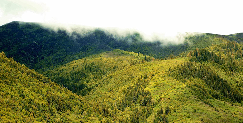 大山1.jpg