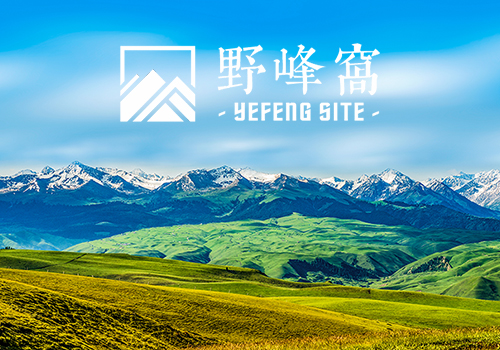 Pt简明生存指南-野峰窝