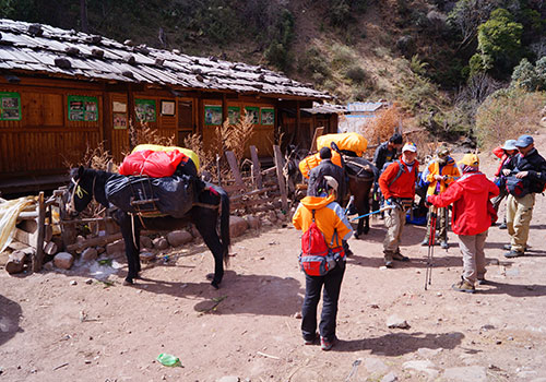 穿越丽江黎明老君山[原片打开较慢]-野峰窝
