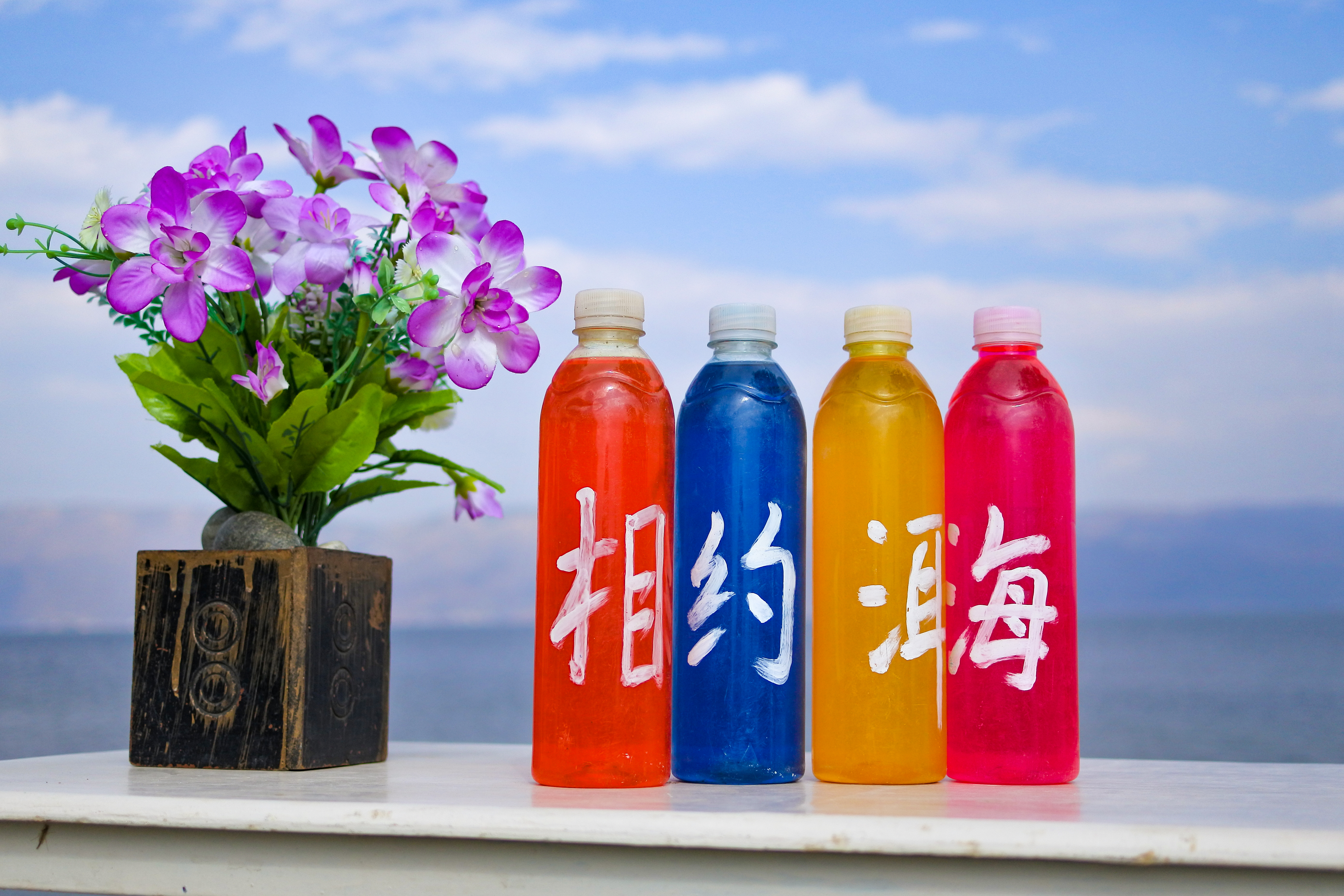 自驾洱海泸沽湖元谋土林游2 020RYX