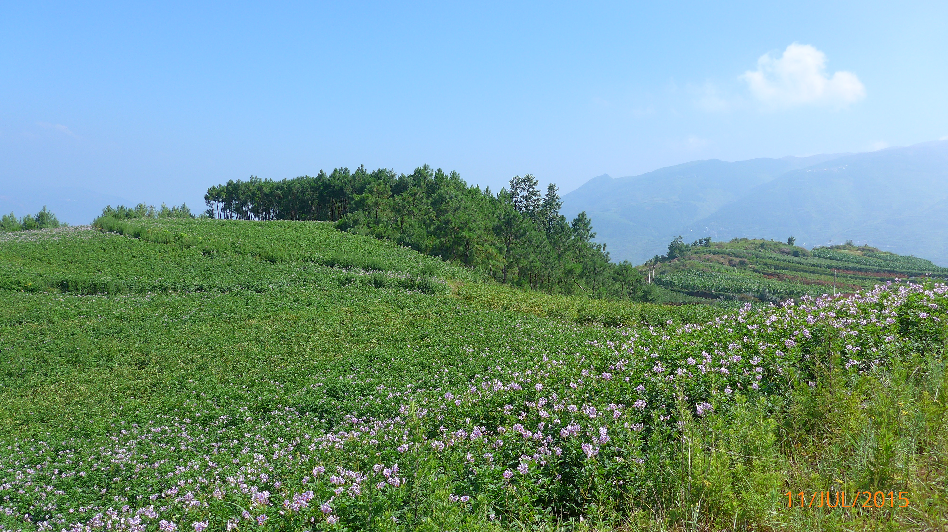 骑行寻甸花石头山6 ZI8aJ0