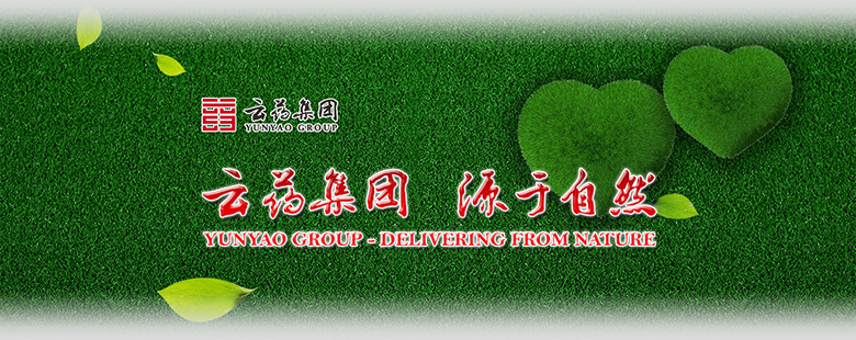 云药集团网站设计图