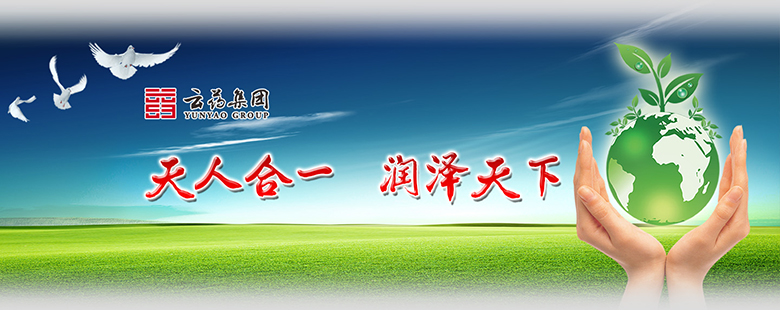 云药集团网站设计图
