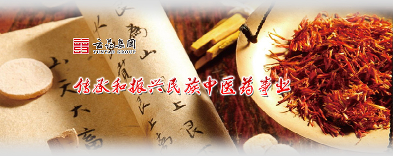 云药集团网站设计图