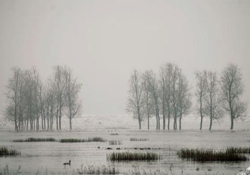 云南会泽念湖雪中行2011 12 10 3 C53QcX