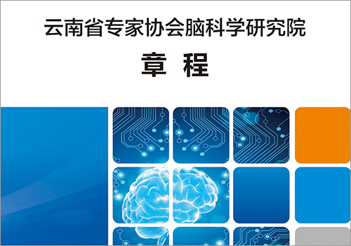 云南省专家协会脑科学研究院章程封面-野峰窝