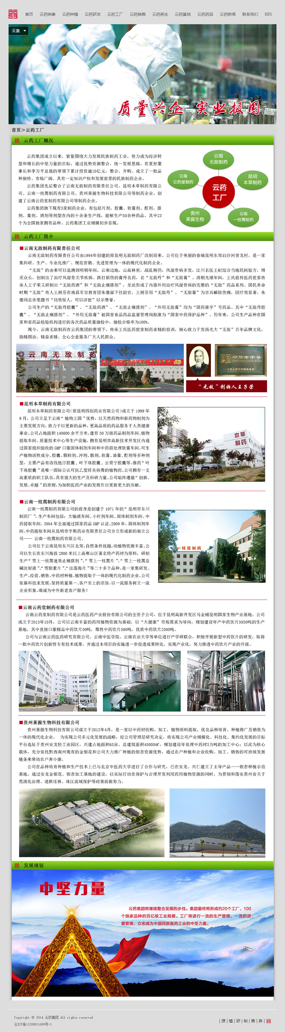 云药集团网站设计图