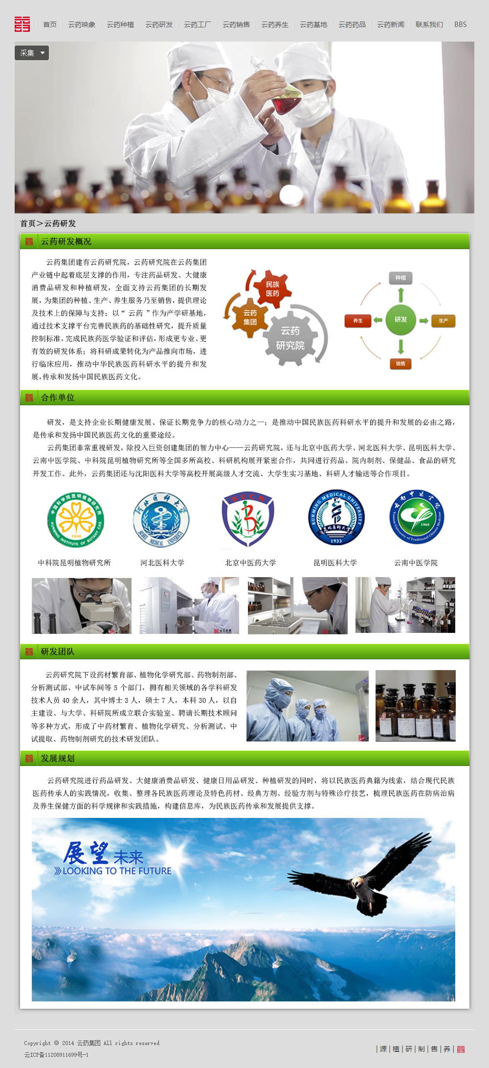 云药集团网站设计图