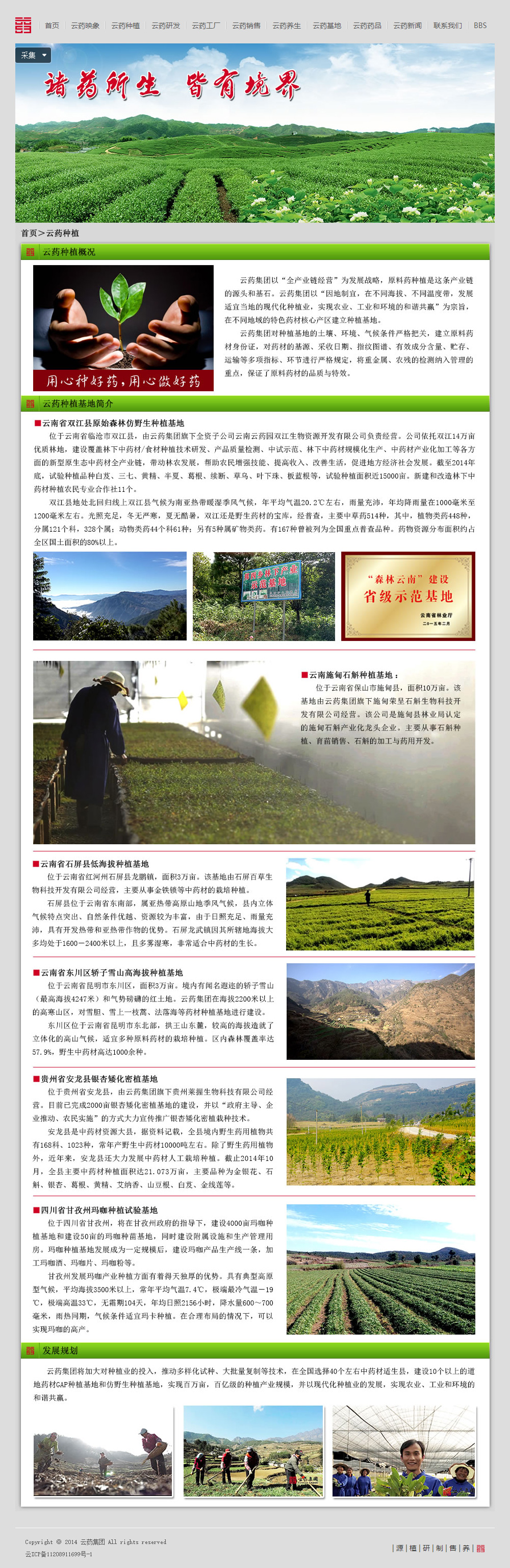 云药集团网站设计图