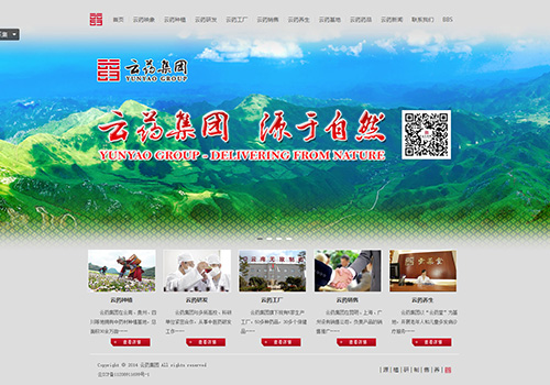 云药集团网站设计图-野峰窝