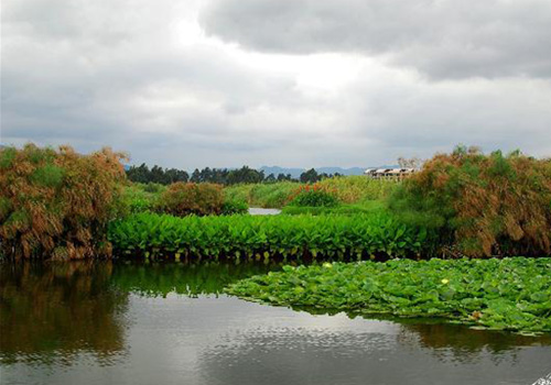 昆明宝丰湿地公园休闲游2011 7 3 4 UBgCGM