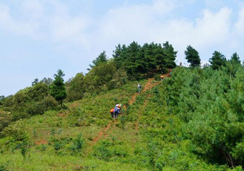 昆明摩天岭至灯挂山徒步游2012 7 8 4 2oYQ64