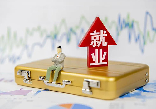 昆明盘龙区水源区职高学生安置调研会发言稿-野峰窝