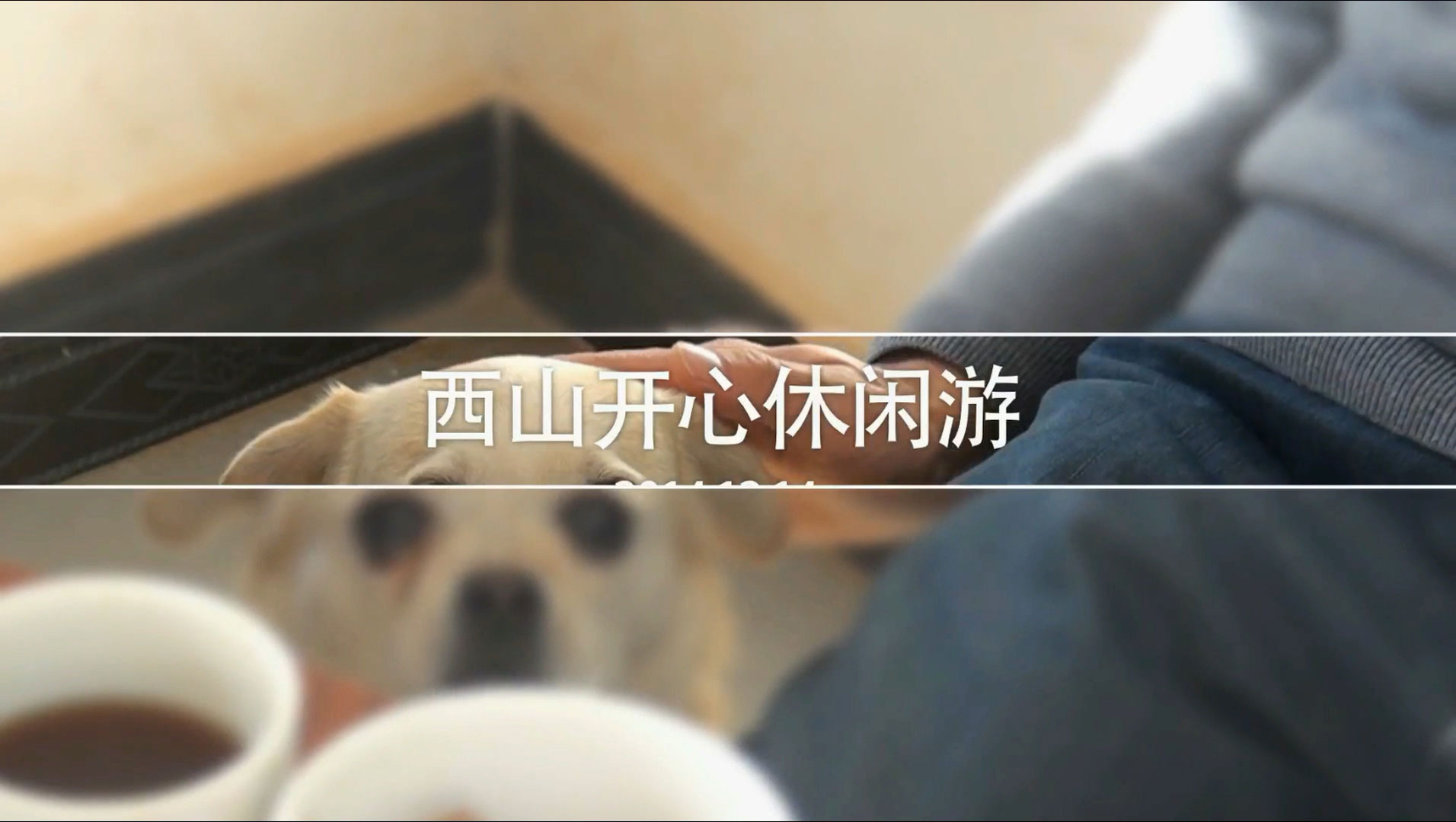 幻灯片-野峰窝