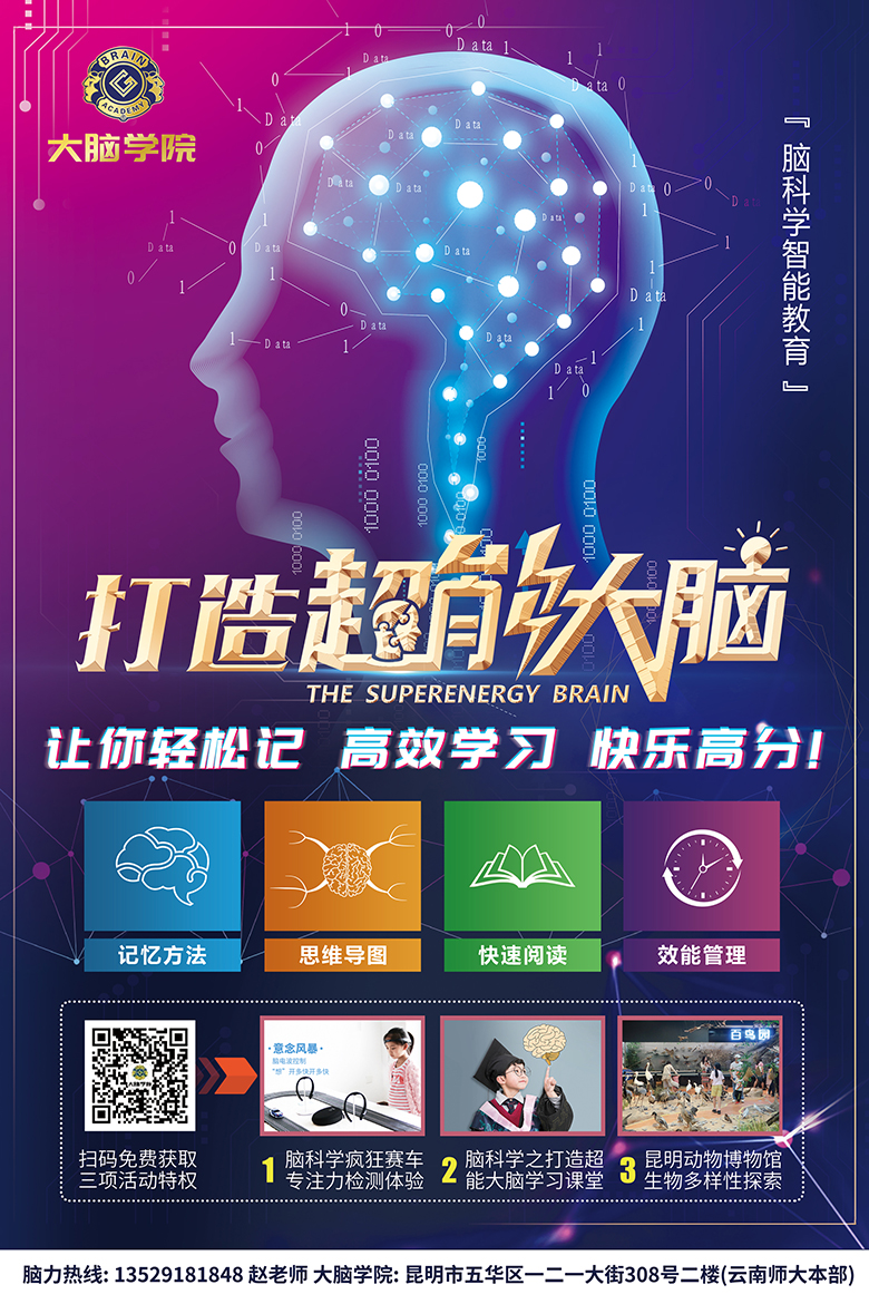 超能大脑活动特权宣传单页