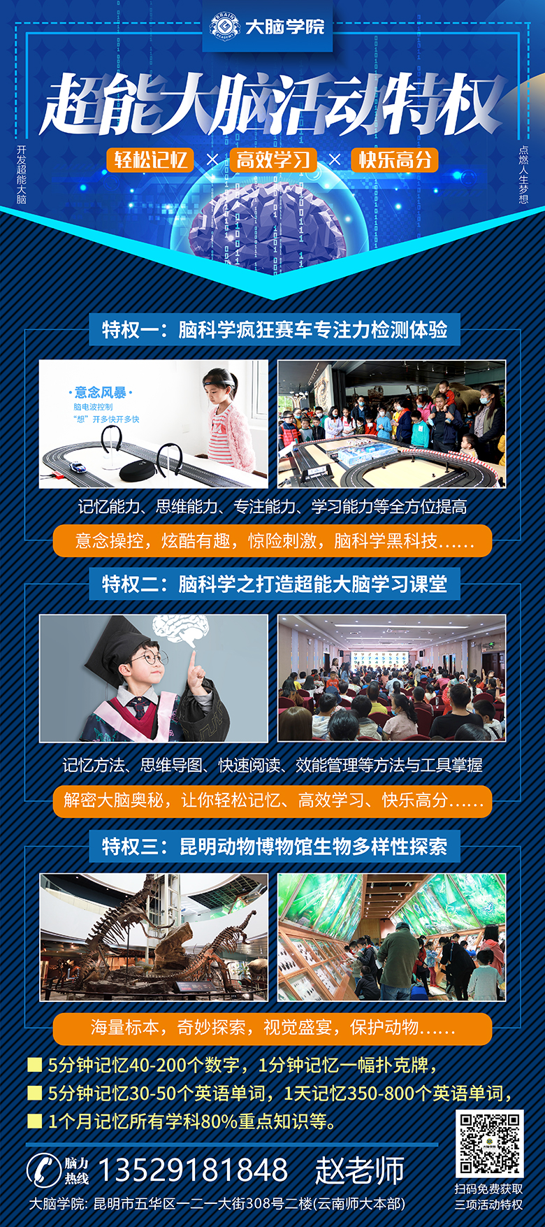 超能大脑活动特权易拉宝