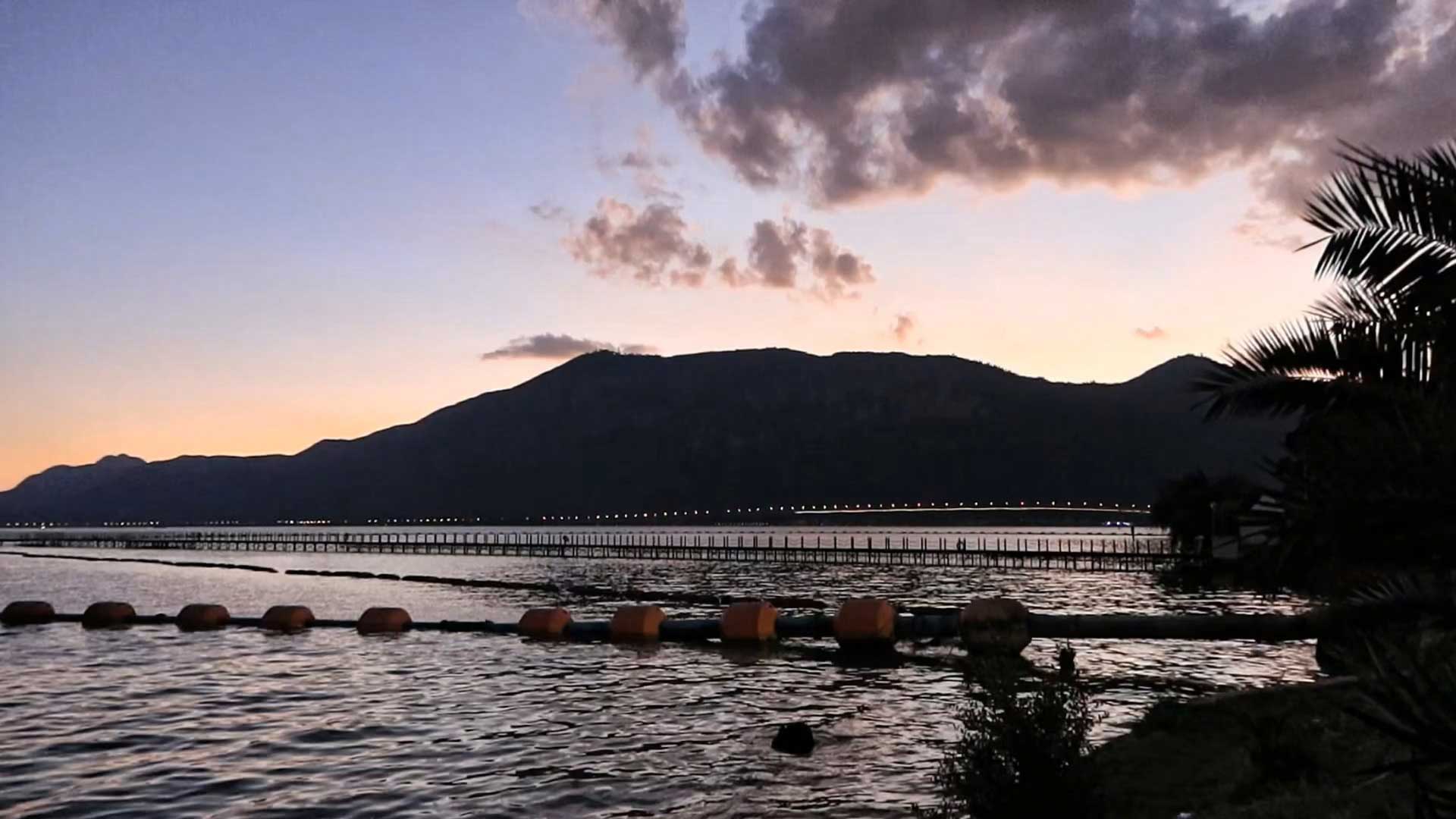 幻灯片-野峰窝