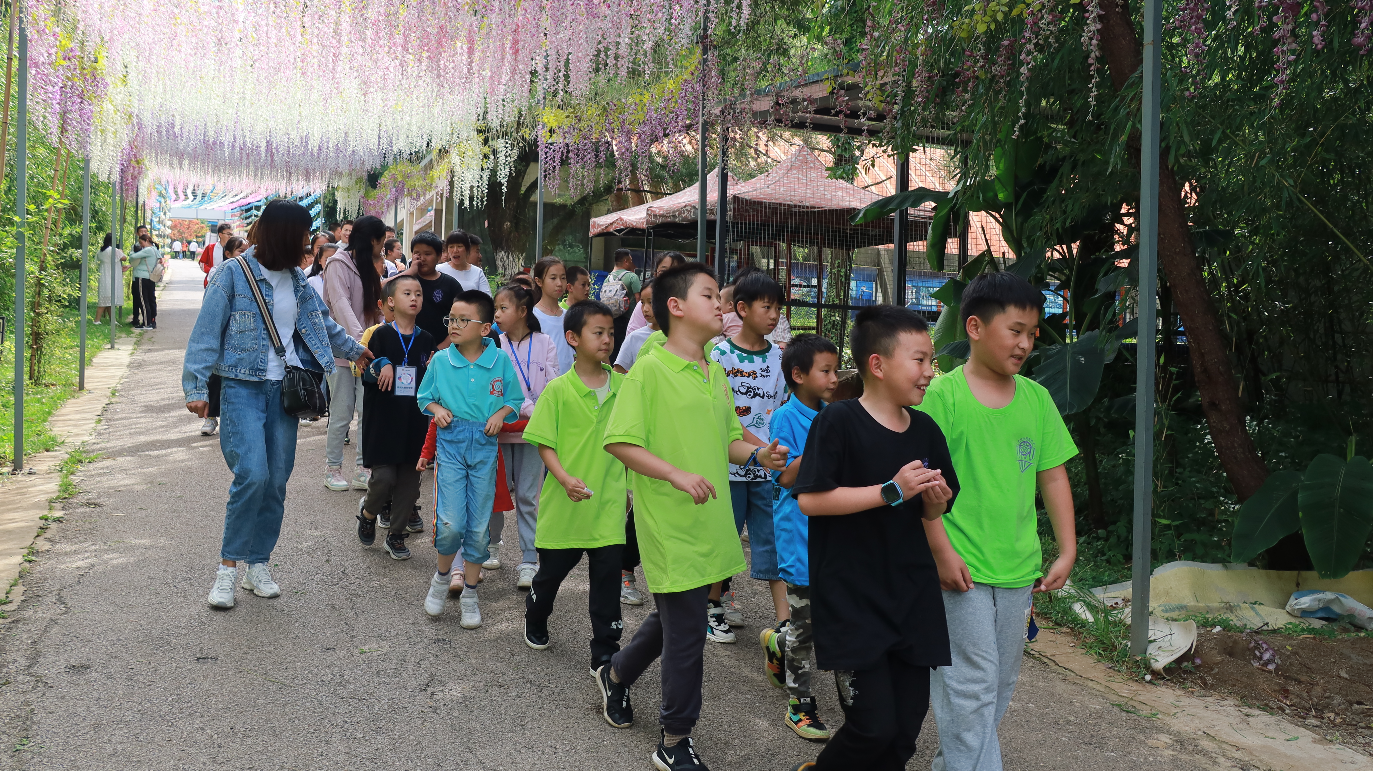 大脑学院昆明野鸭湖超能大脑研学营16 FJERo1