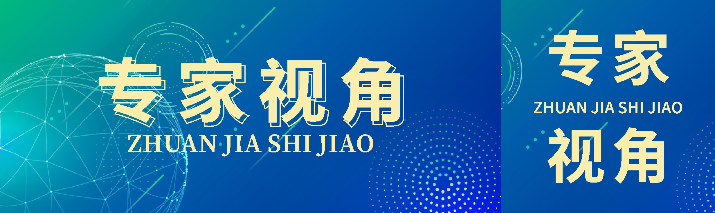 869X259 专家视角