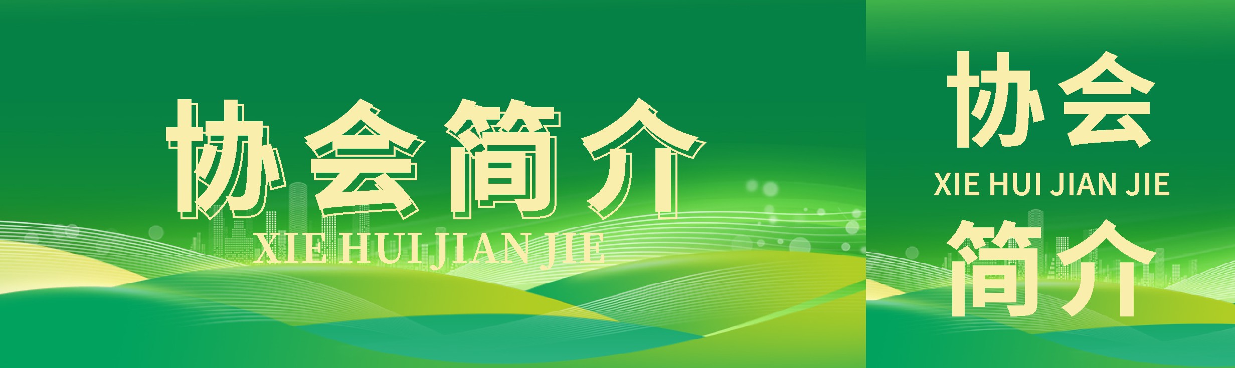 869X259 协会简介