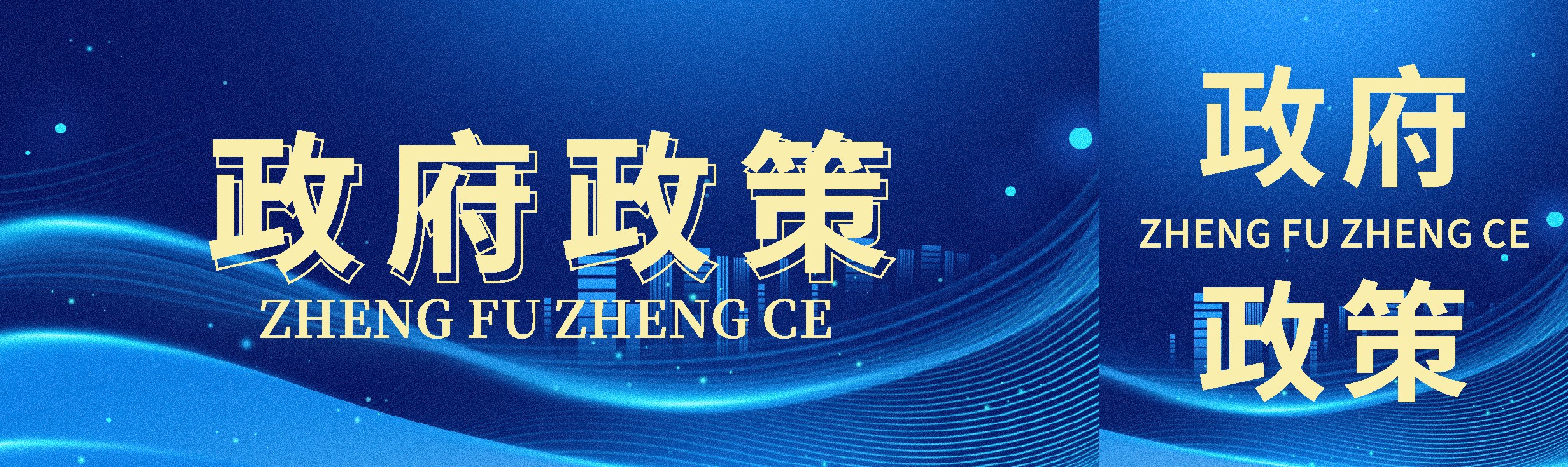 869X259 政府政策