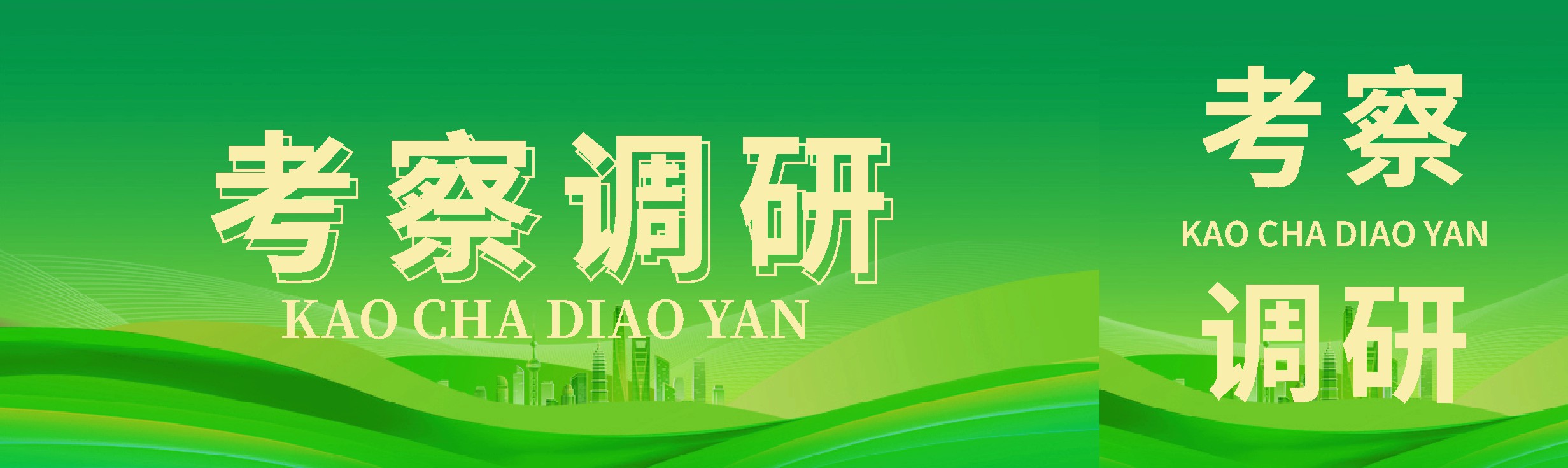 869X259 考察调研