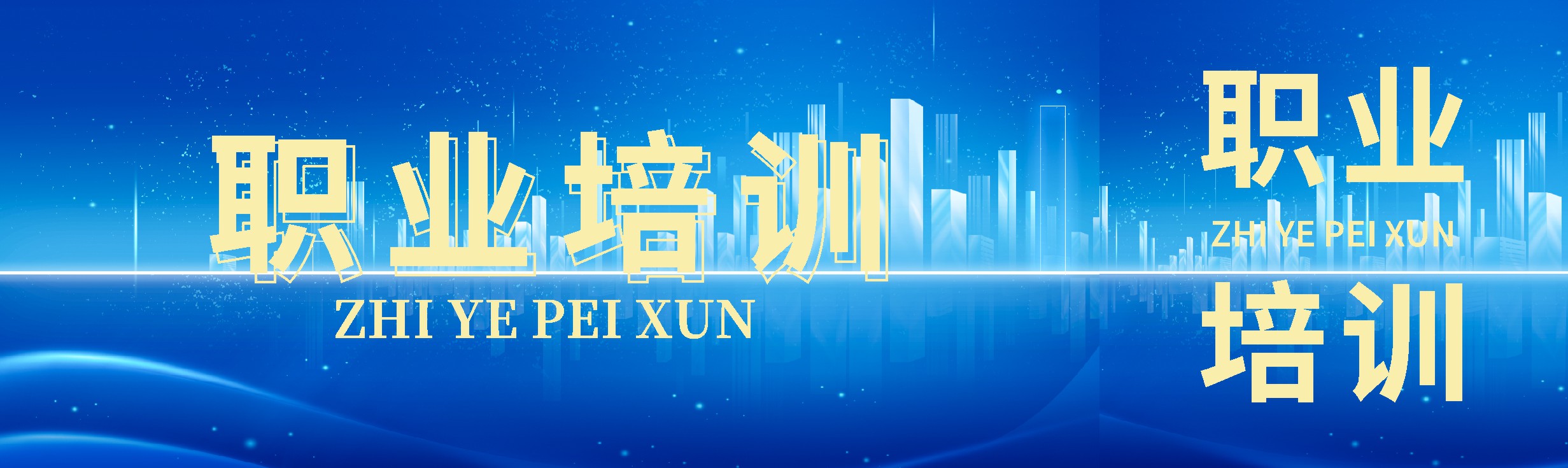 869X259 职业培训