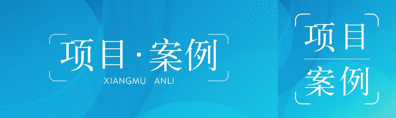 项目案例单
