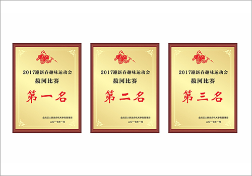 2017迎新春趣味运动会拔河比赛奖牌-野峰窝