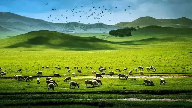 中国出大片最多的11个地方,去了秒变 中国出大片最多的11个地方,去了秒变