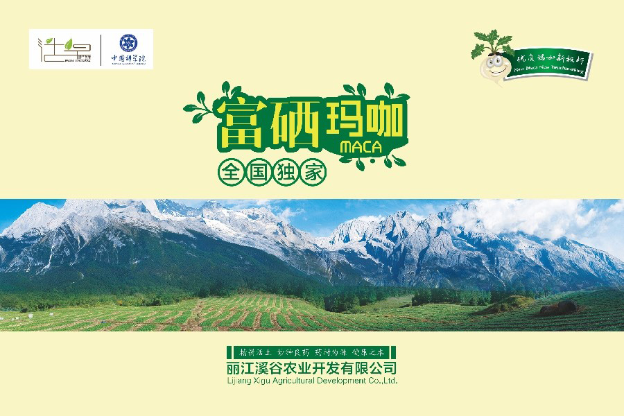 丽江溪谷农业开发有限公司富硒玛咖宣传册封面1