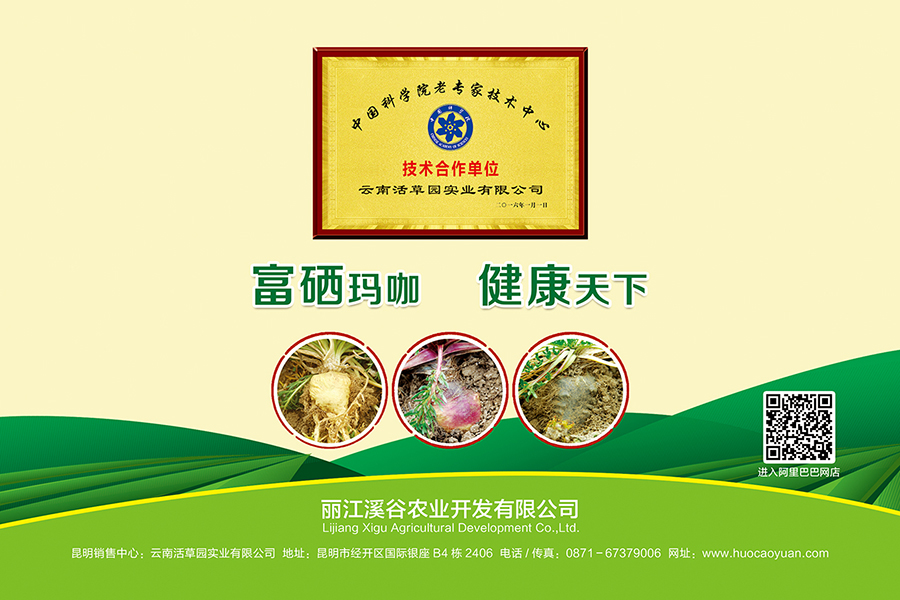 丽江溪谷农业开发有限公司富硒玛咖宣传册封面2