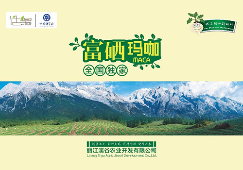 丽江溪谷农业开发有限公司富硒玛咖宣传册-野峰窝