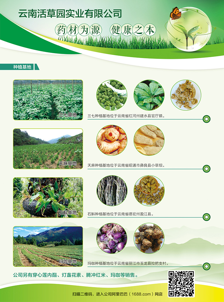 云南活草园实业有限公司宣传单页