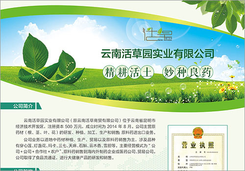 云南活草园实业有限公司宣传单页-野峰作品集