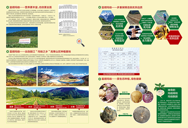 云南活草园实业有限公司＂富硒玛咖＂宣传单页